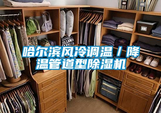 哈爾濱風(fēng)冷調(diào)溫/降溫管道型除濕機