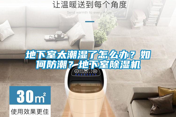 地下室太潮濕了怎么辦?如何防潮?地下室除濕機(jī)