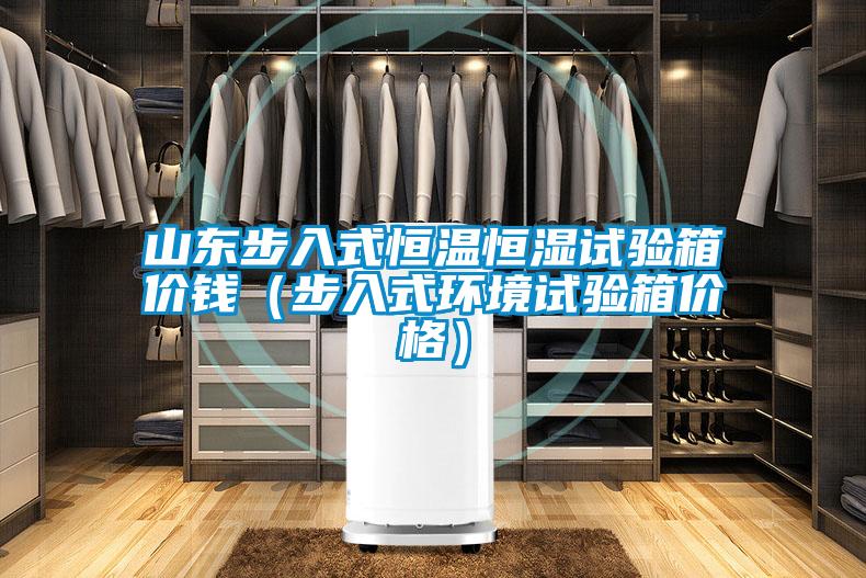 山東步入式恒溫恒濕試驗箱價錢(步入式環境試驗箱價格)