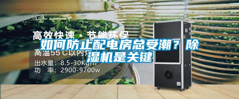 如何防止配電房總受潮?除濕機(jī)是關(guān)鍵
