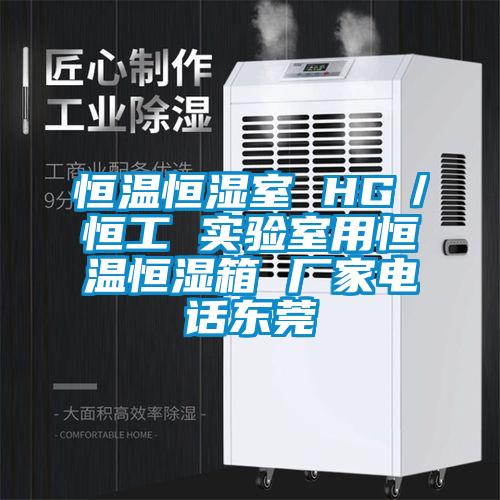 恒溫恒濕室 HG/恒工 實驗室用恒溫恒濕箱 廠家電話東莞