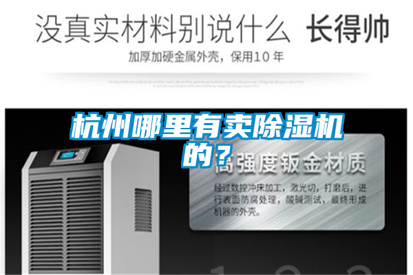 杭州哪里有賣除濕機的?