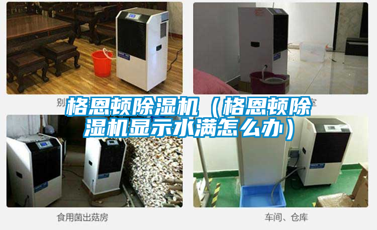 格恩頓除濕機(jī)(格恩頓除濕機(jī)顯示水滿怎么辦)
