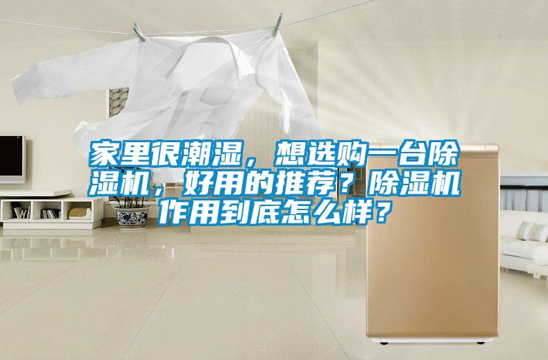 家里很潮濕，想選購一臺除濕機，好用的推薦？除濕機作用到底怎么樣？