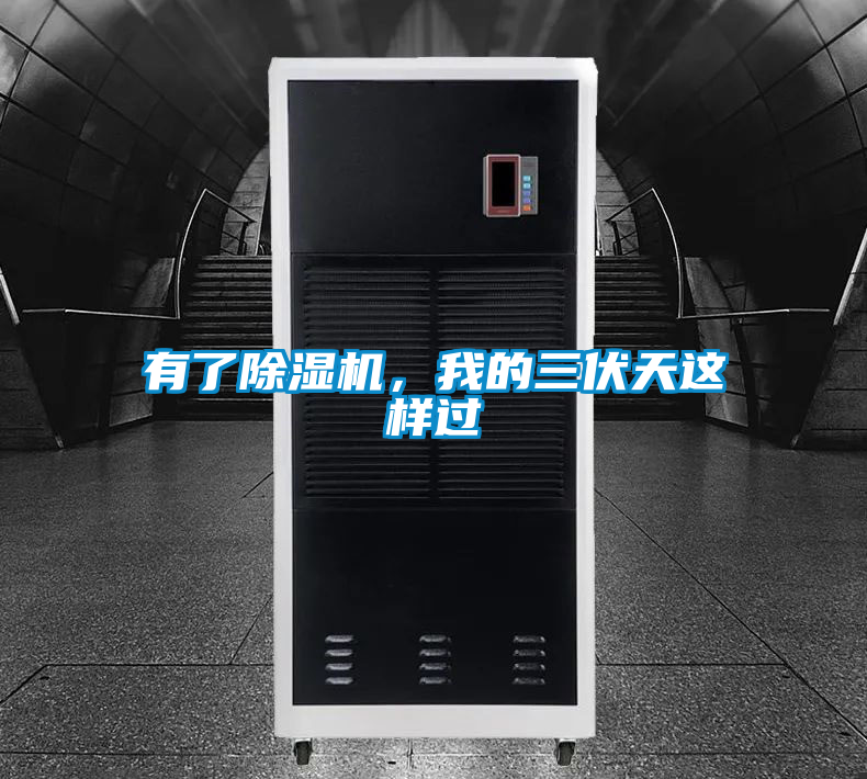 有了除濕機,我的三伏天這樣過