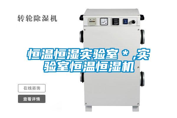 恒溫恒濕實(shí)驗(yàn)室*,實(shí)驗(yàn)室恒溫恒濕機(jī)