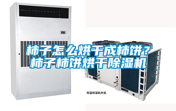 柿子怎么烘干成柿餅？柿子柿餅烘干除濕機