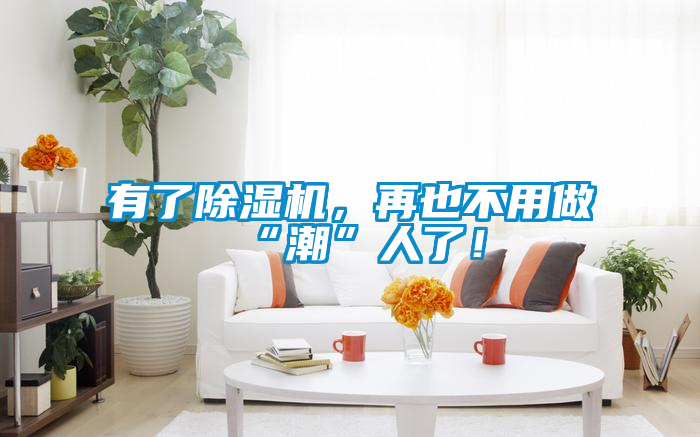 有了除濕機(jī)，再也不用做“潮”人了！