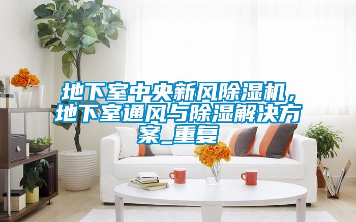 地下室中央新風除濕機，地下室通風與除濕解決方案_重復