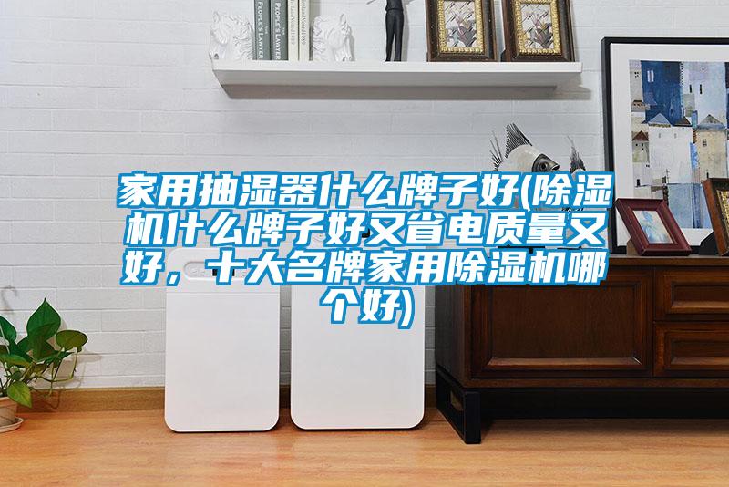 家用抽濕器什么牌子好(除濕機什么牌子好又省電質(zhì)量又好,十大名牌家用除濕機哪個好)