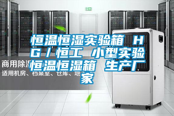 恒溫恒濕實驗箱 HG/恒工 小型實驗恒溫恒濕箱 生產廠家
