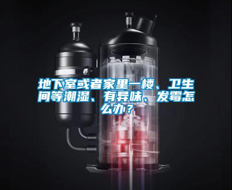 地下室或者家里一樓、衛生間等潮濕、有異味、發霉怎么辦？