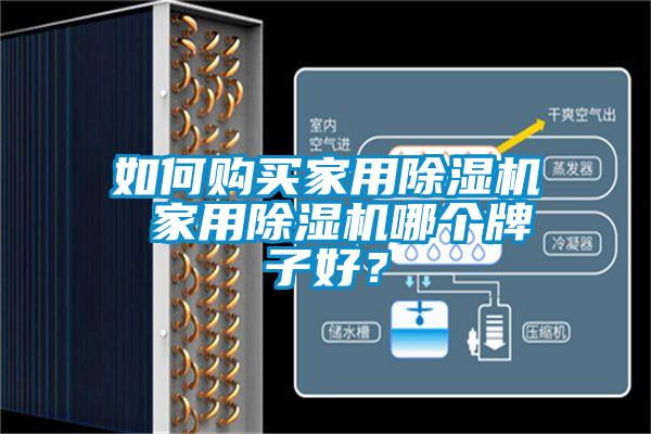 如何購買家用除濕機 家用除濕機哪個牌子好？