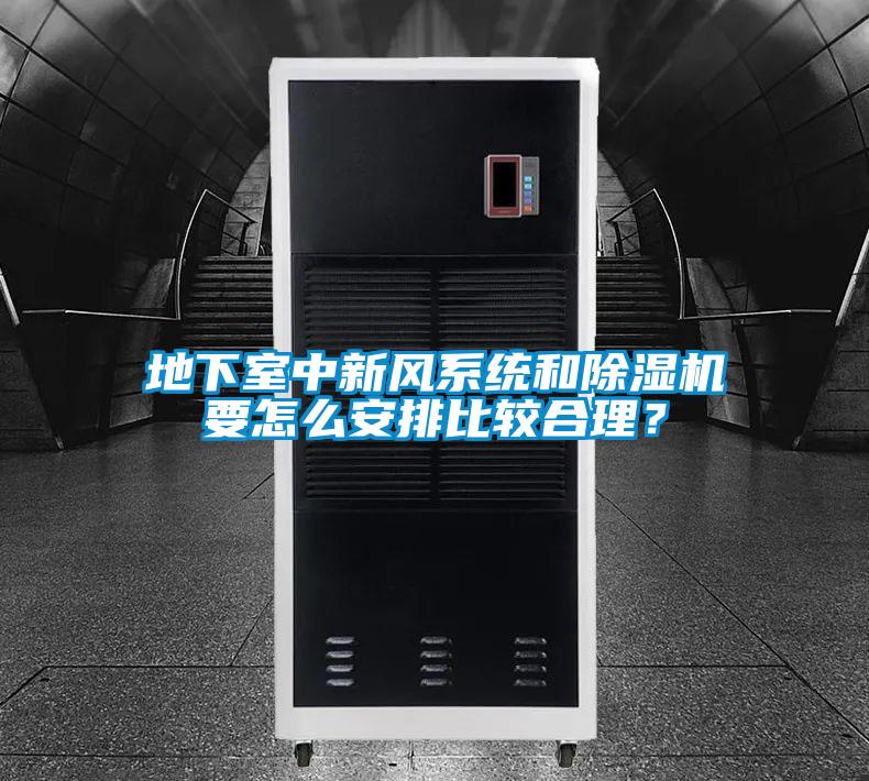 地下室中新風系統和除濕機要怎么安排比較合理?