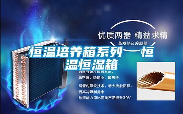 恒溫培養箱系列 恒溫恒濕箱