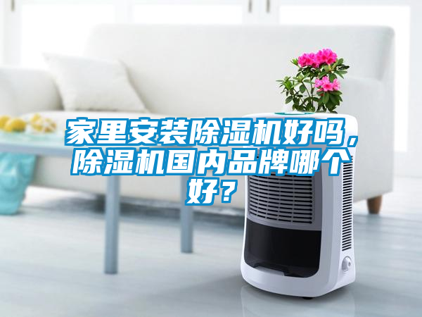 家里安裝除濕機好嗎，除濕機國內品牌哪個好？