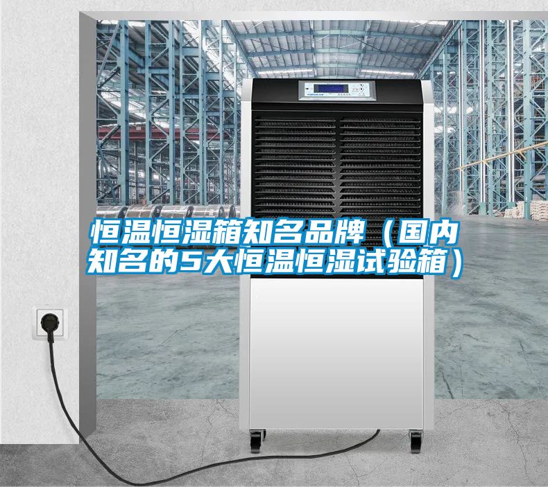 恒溫恒濕箱知名品牌(國內(nèi)知名的5大恒溫恒濕試驗箱)