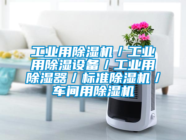 工業用除濕機/工業用除濕設備/工業用除濕器/標準除濕機/車間用除濕機