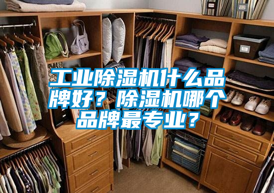 工業除濕機什么品牌好?除濕機哪個品牌最專業?