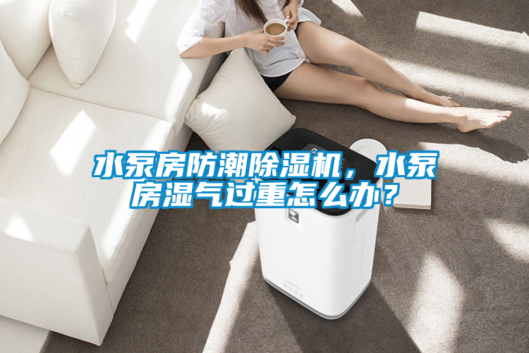 水泵房防潮除濕機,水泵房濕氣過重怎么辦?