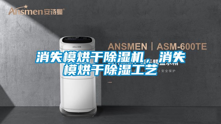 消失模烘干除濕機,消失模烘干除濕工藝