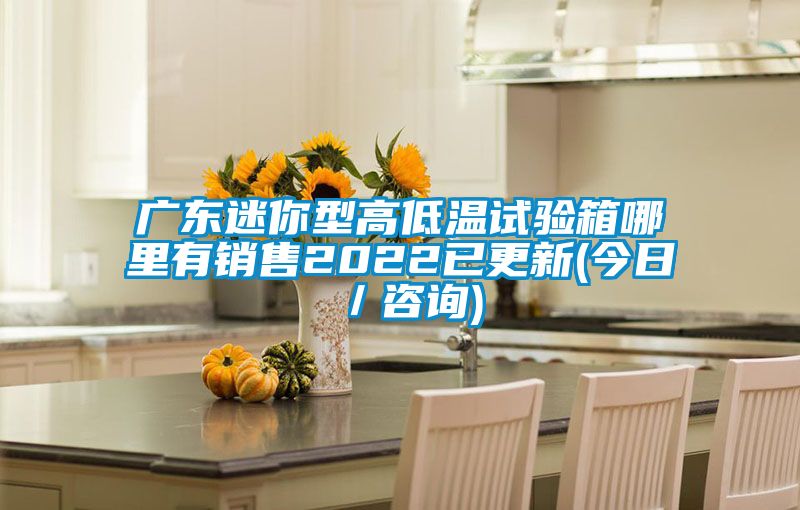 廣東迷你型高低溫試驗箱哪里有銷售2022已更新(今日/咨詢)