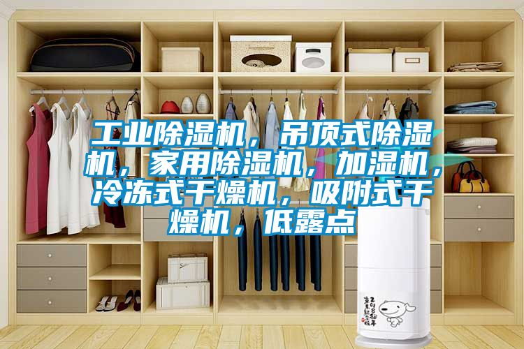 工業除濕機,吊頂式除濕機,家用除濕機,加濕機,冷凍式干燥機,吸附式干燥機,低露點