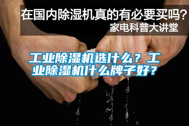 工業(yè)除濕機選什么?工業(yè)除濕機什么牌子好?