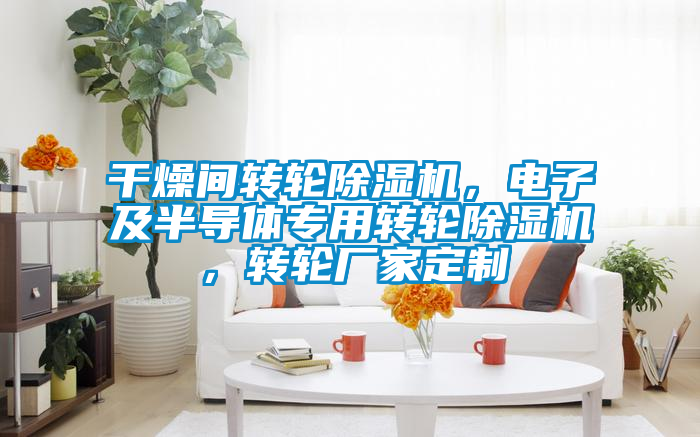 干燥間轉(zhuǎn)輪除濕機,電子及半導體專用轉(zhuǎn)輪除濕機,轉(zhuǎn)輪廠家定制
