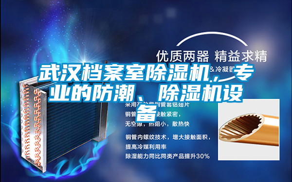 武漢檔案室除濕機，專業(yè)的防潮、除濕機設備