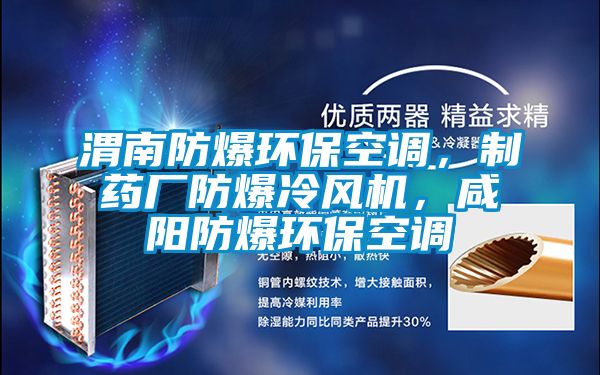 渭南防爆環保空調，制藥廠防爆冷風機，咸陽防爆環?？照{