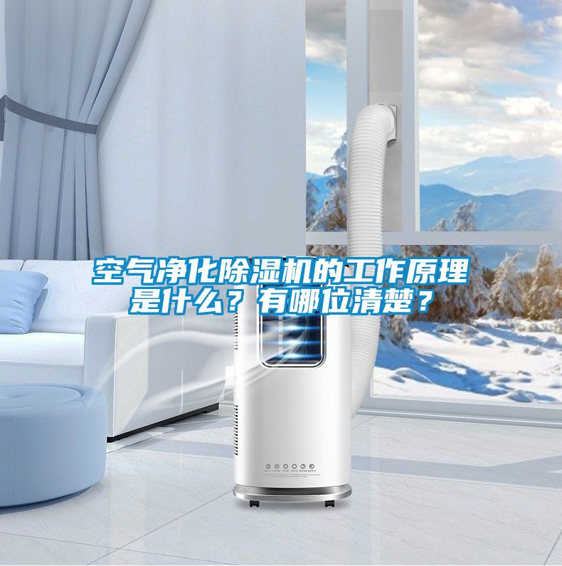 空氣凈化除濕機的工作原理是什么?有哪位清楚?