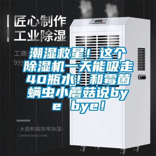 潮濕救星！這個(gè)除濕機(jī)一天能吸走40瓶水！和霉菌螨蟲小蘑菇說bye bye！