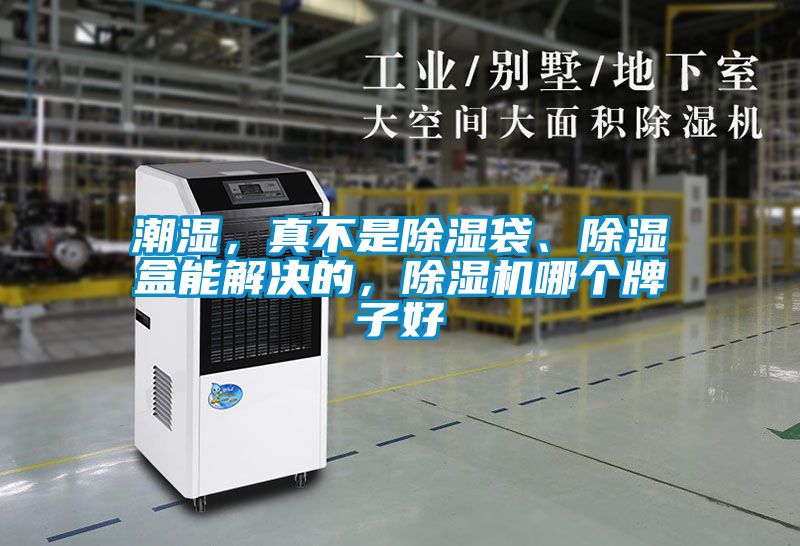 潮濕，真不是除濕袋、除濕盒能解決的，除濕機(jī)哪個(gè)牌子好