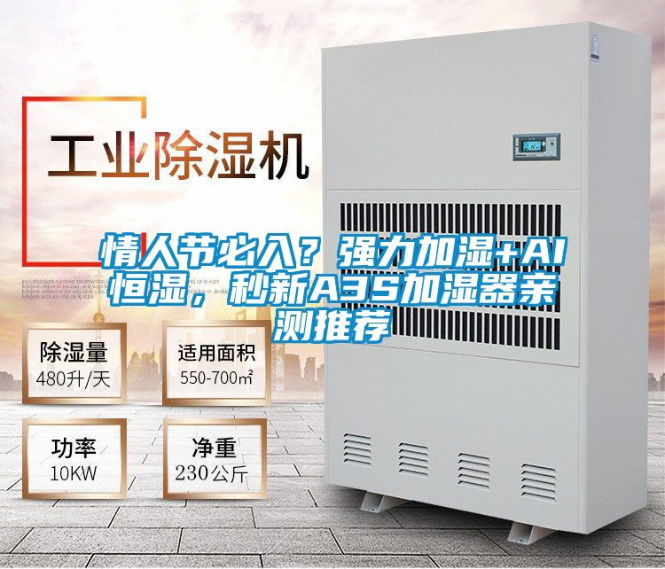 情人節(jié)必入?強力加濕+AI恒濕,秒新A3S加濕器親測推薦