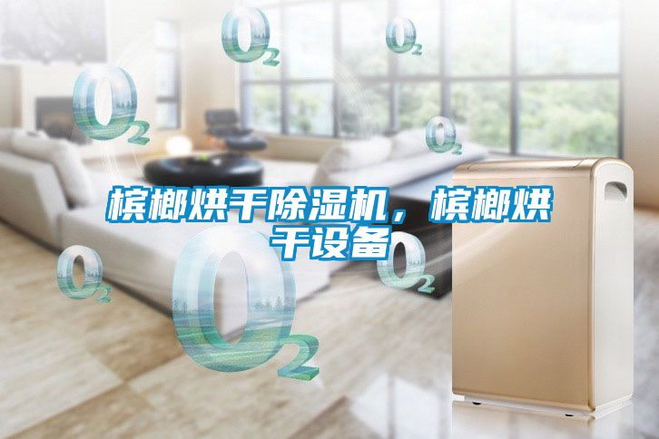 檳榔烘干除濕機，檳榔烘干設備