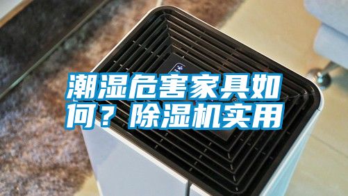 潮濕危害家具如何？除濕機實用