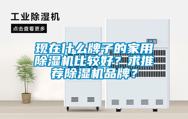 現在什么牌子的家用除濕機比較好？求推薦除濕機品牌？