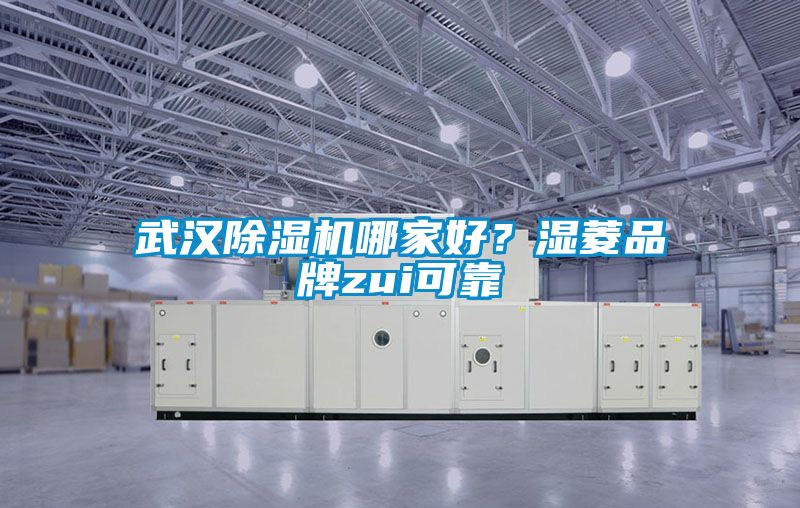 武漢除濕機(jī)哪家好?濕菱品牌zui可靠