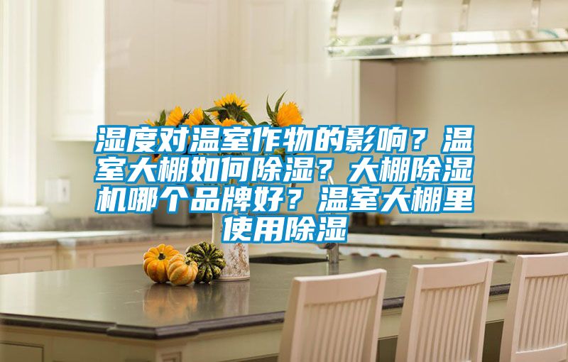 濕度對溫室作物的影響？溫室大棚如何除濕？大棚除濕機哪個品牌好？溫室大棚里使用除濕