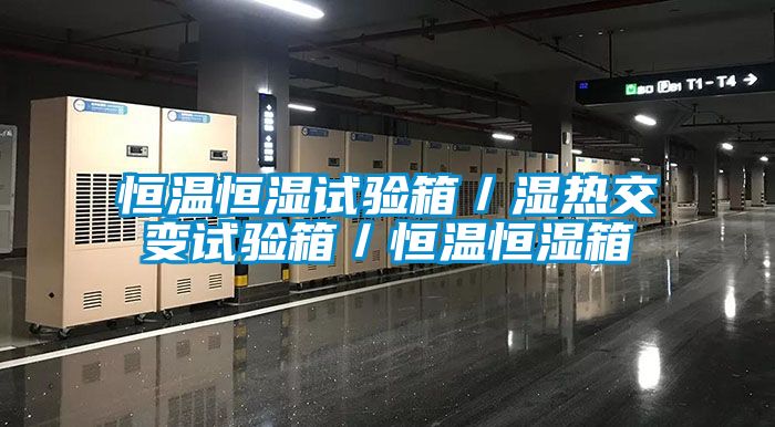 恒溫恒濕試驗(yàn)箱/濕熱交變試驗(yàn)箱/恒溫恒濕箱
