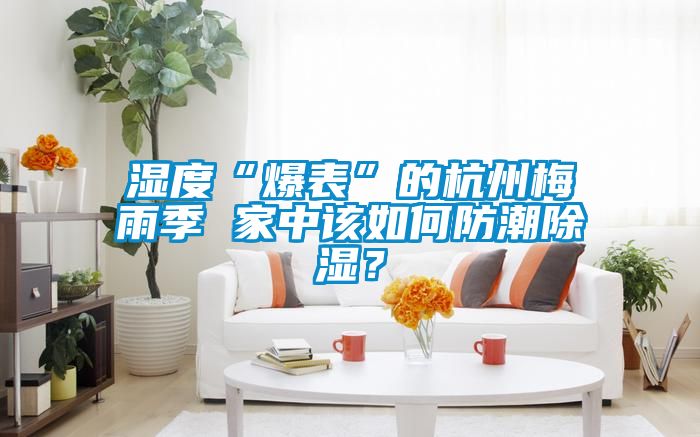 濕度“爆表”的杭州梅雨季 家中該如何防潮除濕?