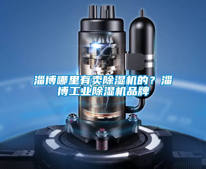 淄博哪里有賣除濕機(jī)的?淄博工業(yè)除濕機(jī)品牌
