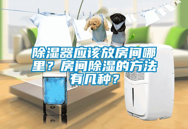 除濕器應(yīng)該放房間哪里？房間除濕的方法有幾種？