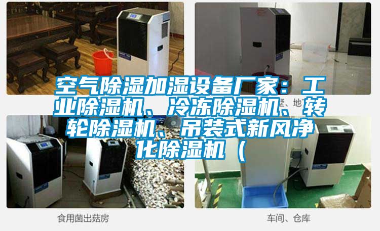 空氣除濕加濕設備廠家:工業除濕機、冷凍除濕機、轉輪除濕機、吊裝式新風凈化除濕機(