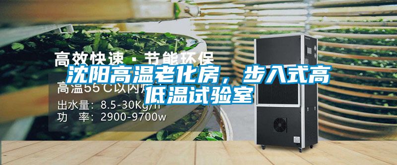 沈陽(yáng)高溫老化房,步入式高低溫試驗(yàn)室