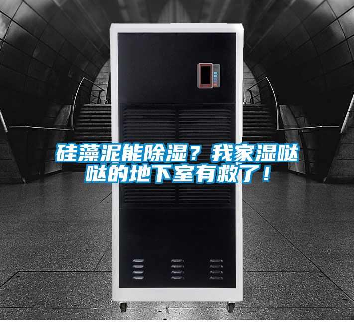 硅藻泥能除濕？我家濕噠噠的地下室有救了！
