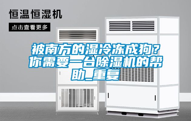 被南方的濕冷凍成狗？你需要一臺除濕機的幫助_重復