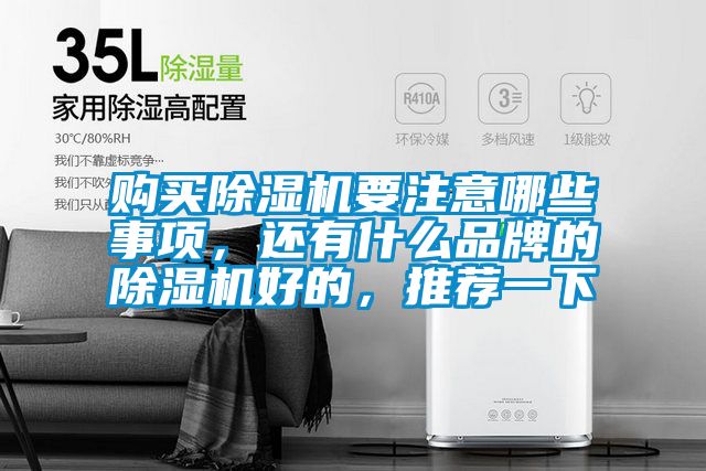 購買除濕機(jī)要注意哪些事項(xiàng),還有什么品牌的除濕機(jī)好的,推薦一下