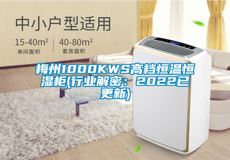梅州1000KWS高檔恒溫恒濕柜(行業(yè)解密:2022已更新)